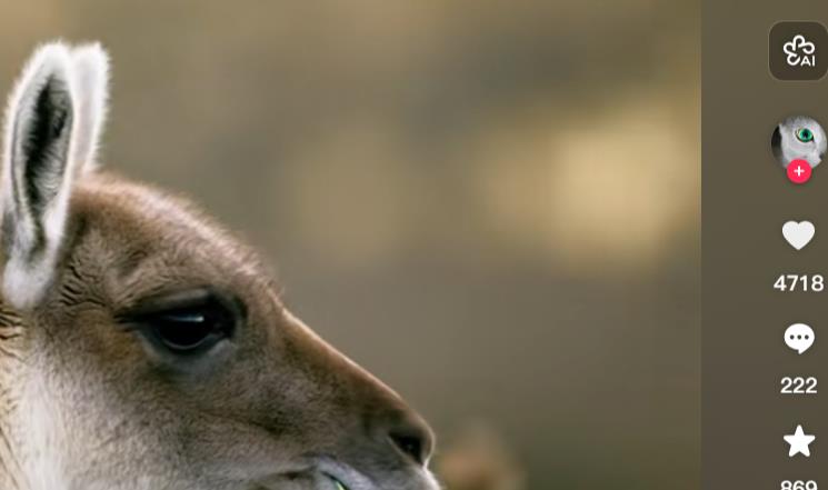 打开自助下单平台 - 快手刷网站链接,快手全网最便宜刷业务平台