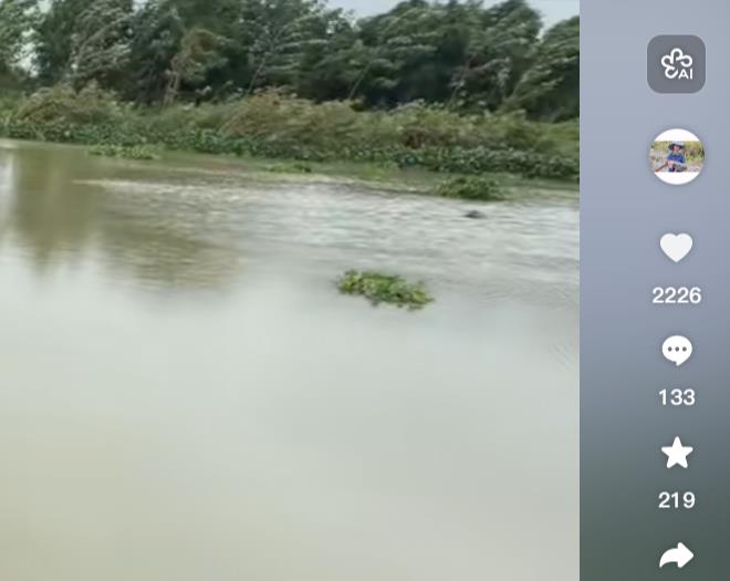 互联网搬砖赚钱详细操作方法及注意事项-赚钱项目分析