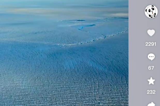 宠物经济项目可行性分析-别人能赚钱,你为什么不能?