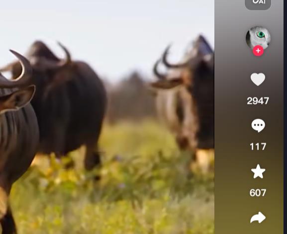 抖音科学小实验赚钱模式-最新赚钱项目分析