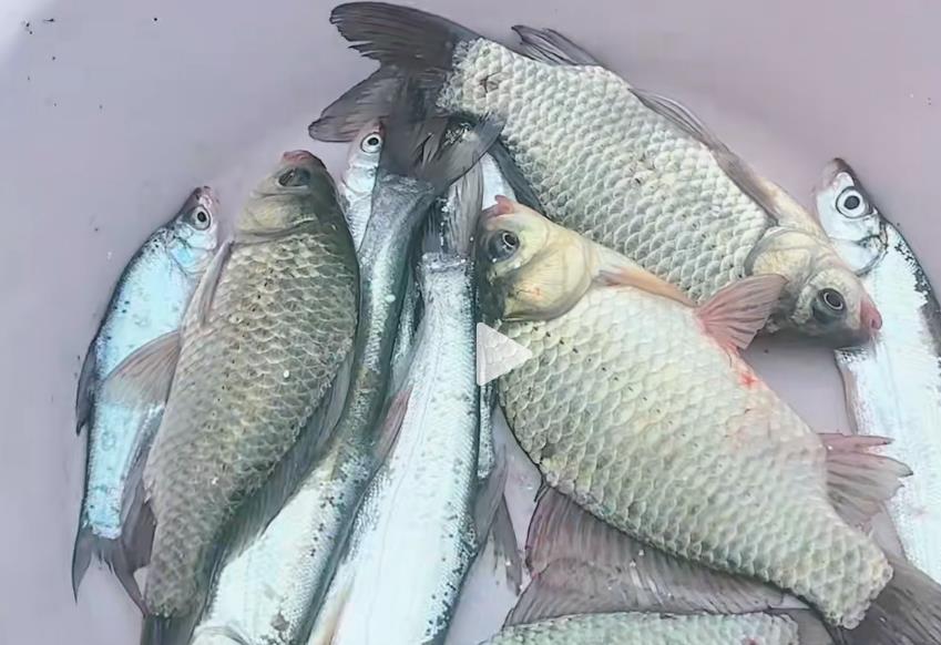 快手知识付费赚钱之蓝海项目分析总结