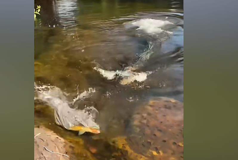 警惕新型电信诈骗:克隆号码与 AI 骗术的双重陷阱