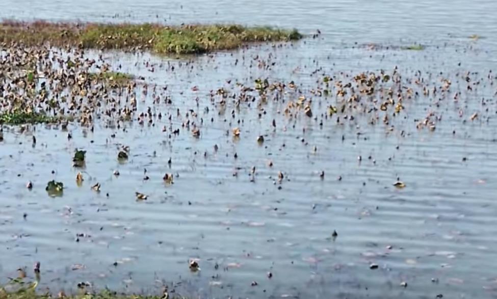 短视频创作:解锁传播与涨粉的底层逻辑-卡盟一手货源网