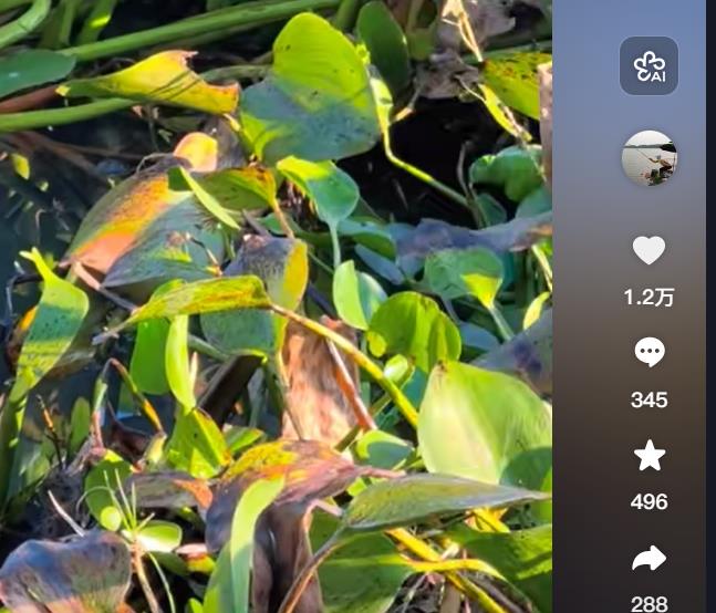 寒假警惕：初中生因游戏装备致母亲 11.27 万元被骗