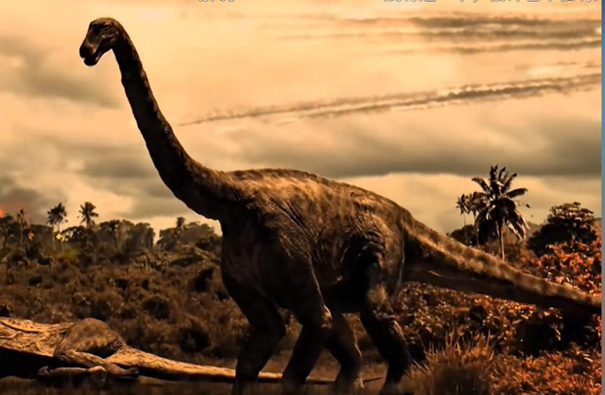 可以给视频号刷赞刷拇指吗-是否违法-自助下单平台