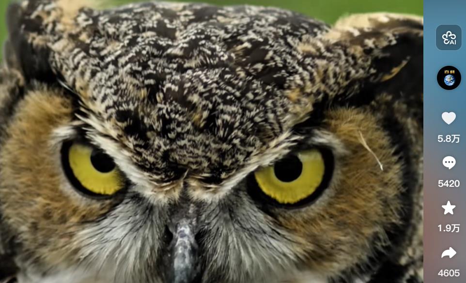 抖音作品如何赢得超高播放量与超高点赞量？精华问答