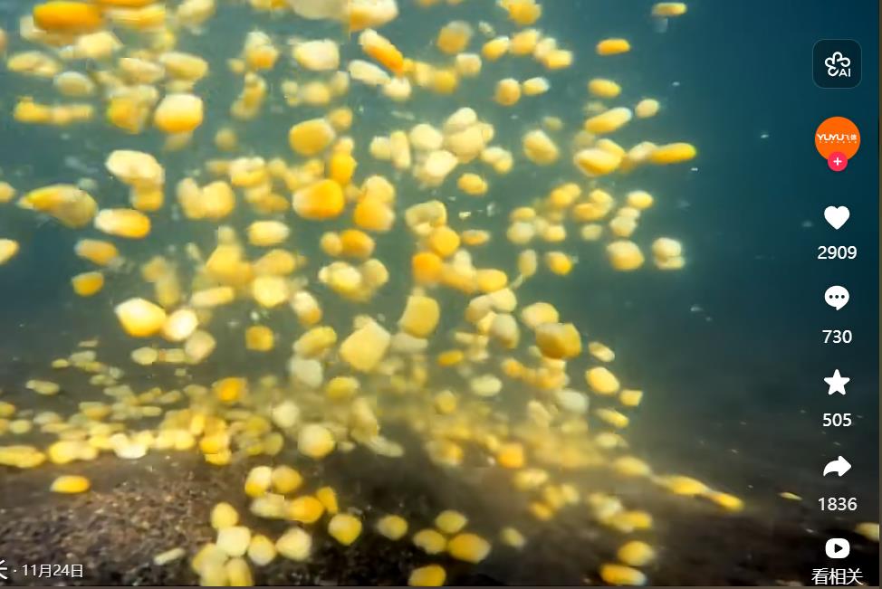 哔哩刷赞网-免费刷B站-哔哩哔哩刷粉-bilibili刷赞网-刷B站粉丝网址