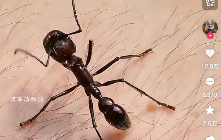 警方提醒2026年最容易上当的最新骗局-赶紧转发给家人