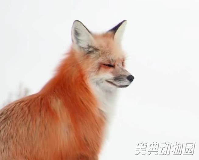 快手涨活粉神器软件快手低价买粉攻略：可靠途径与持续发展