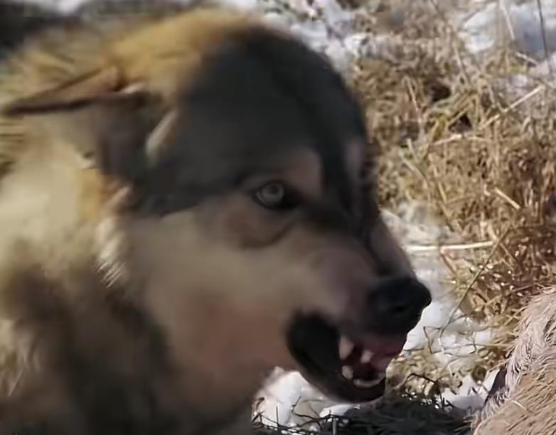 从0到1做爆款短视频：普通人必学的18个错位玩法，全赛道通用+实操详解